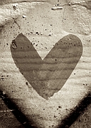 Wall_Art_Alphabet_Photography_Art_ 800